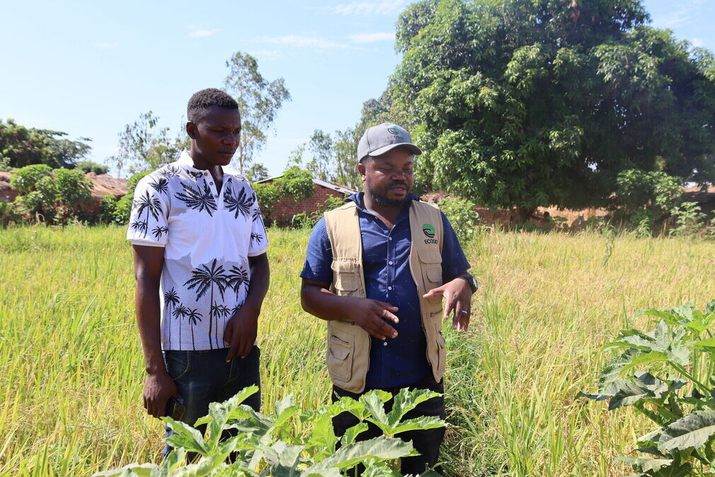 Promoting Youth Entrepreneurship (PYE) - ECOSID